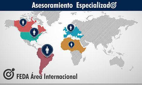 Asesoramiento especializado. Área Internacional de FEDA